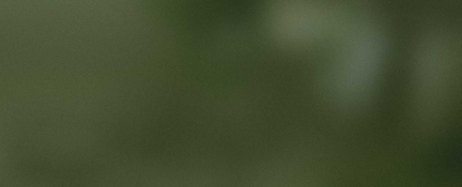  Siga-me no Instagram!